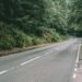 Route en France au milieu d'une forêt